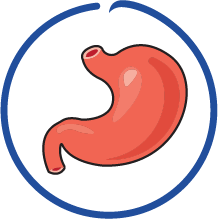 94%-95% Digestibility Score 