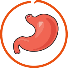 94%-95% Digestibility Score 