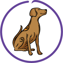 94%-95% Digestibility Score 