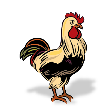 Carna4 Whole Food Nuggets For Pets