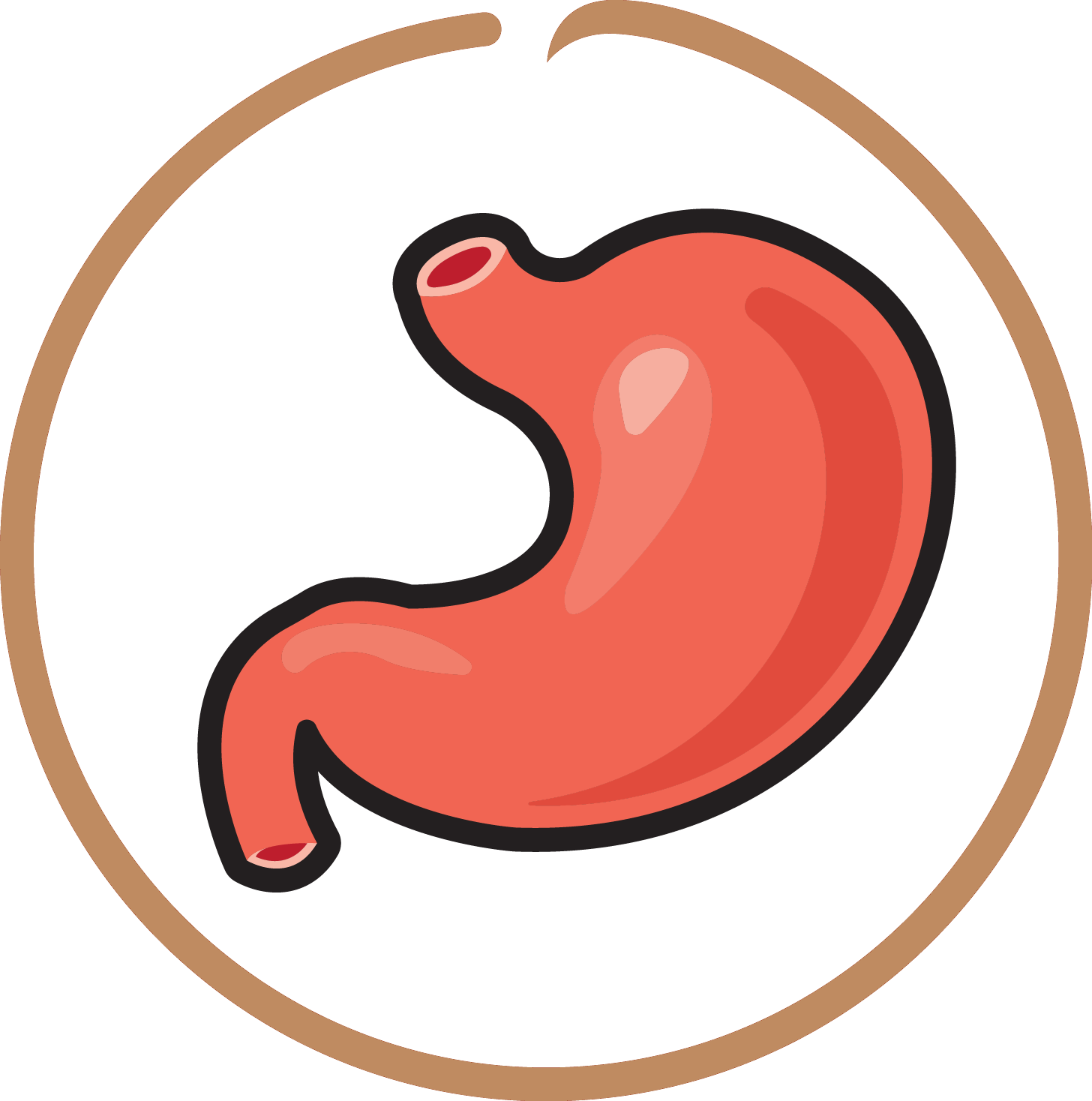 94%-95% Digestibility Score 