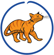 94%-95% Digestibility Score 